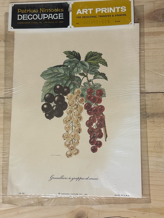 Other - Vintage 1970s Groseilliers Fruit Berry  made in the USA Bern Art Print